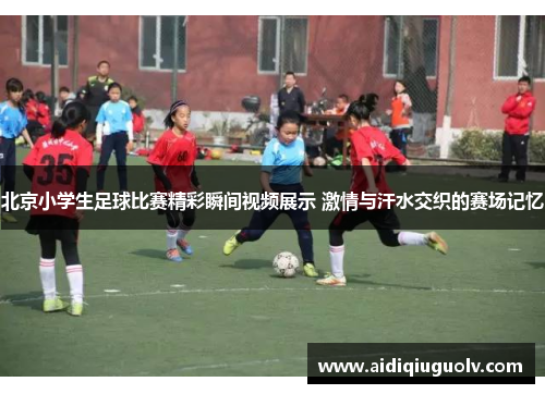 北京小学生足球比赛精彩瞬间视频展示 激情与汗水交织的赛场记忆